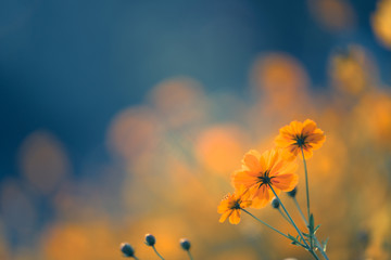 剑三阵营斗士称号属性